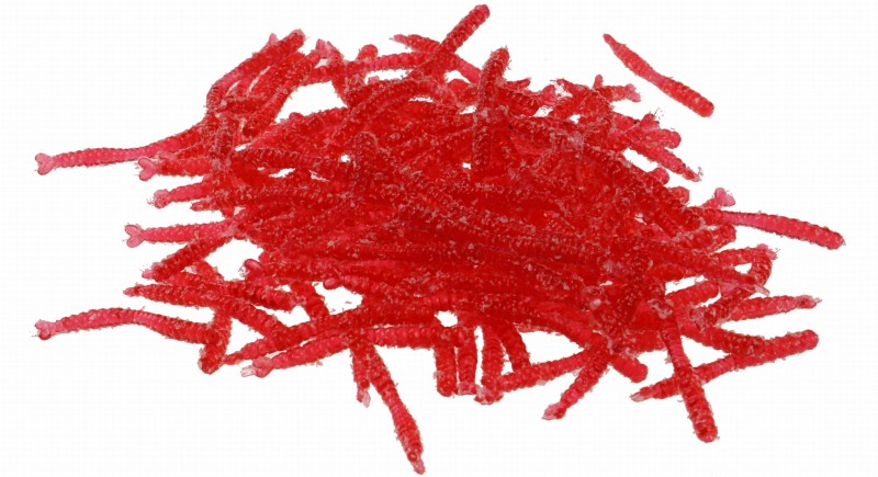 Sztuczny robak jokers ochotka zanętowa 20 mm 200 szt