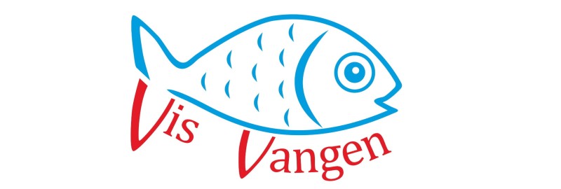 Vis Vangen przypon tytanowy 40 cm / 2,5 kg / 0,2 mm