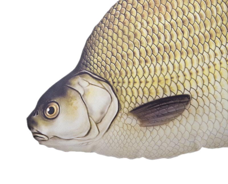 Gaby poduszka LESZCZ zabawka ryba pluszak przytulanka