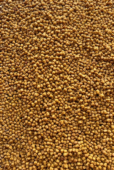 c4289375b64c52aad429a2be53767a29