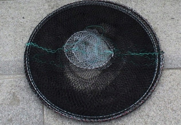 d633f6d01606bc2fa81397a1d516af92