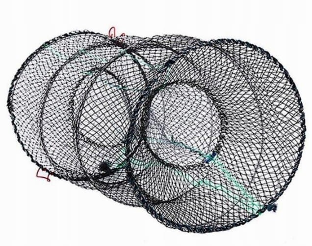 d90554911d13fdf41994b9fc8a55a2d4