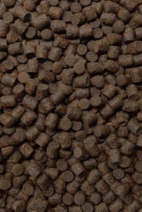 a7bf3a32a301d5f41601d473b2f28153