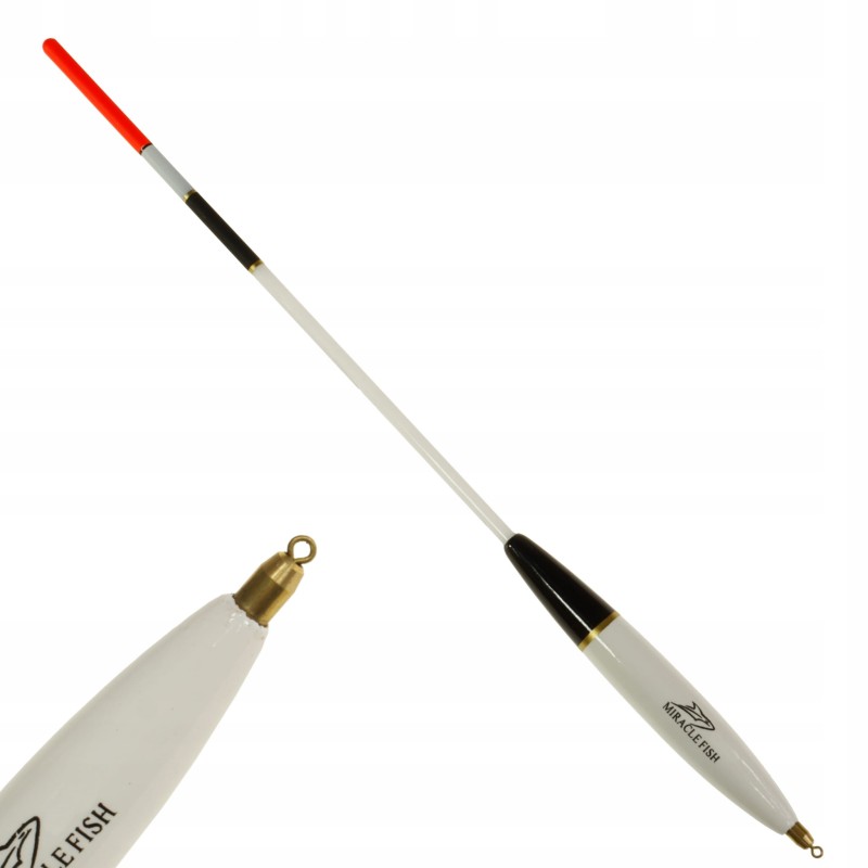 986545b94d26adf81d18119da62ce01a