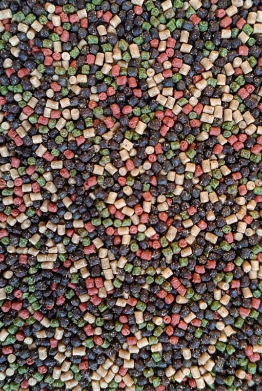 bf31c8a67e395449b7268ae76fd573ba