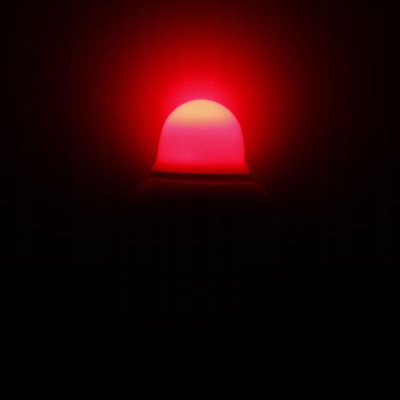 FL spławik żywcowy 40 g dioda LED